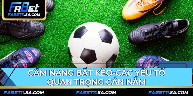 Phân tích dữ liệu và đọc kèo là nền tảng cho kinh nghiệm bắt kèo