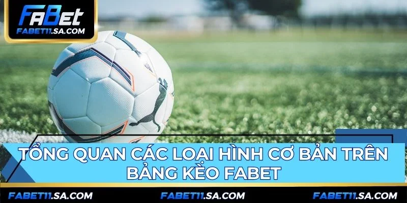 Các loại tỷ lệ cá cược FABET nền tảng để đặt cược hiệu quả